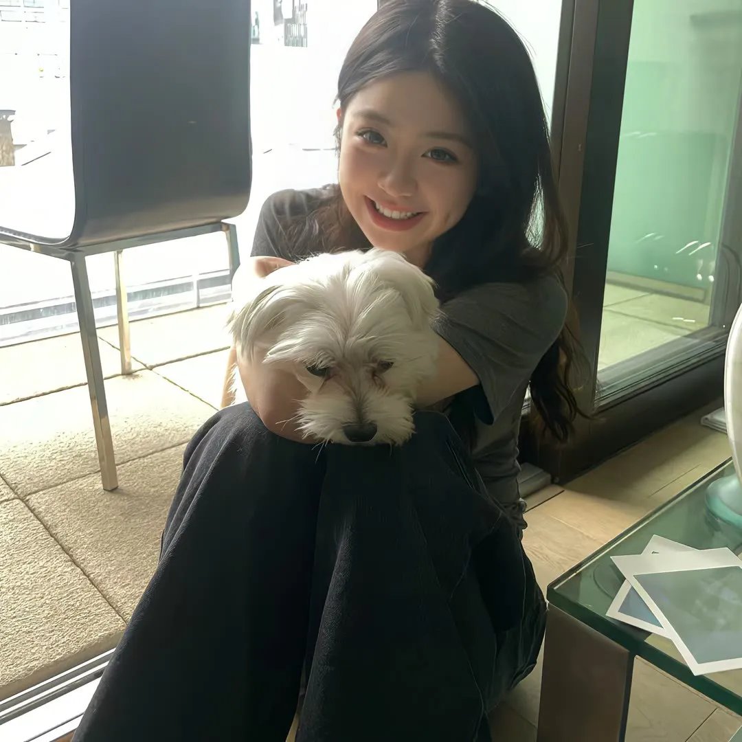 肥猫正传粤语