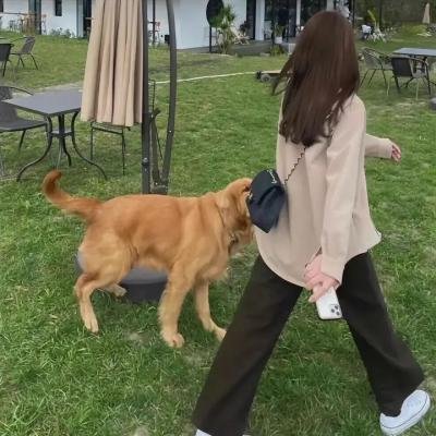 抓贼高手